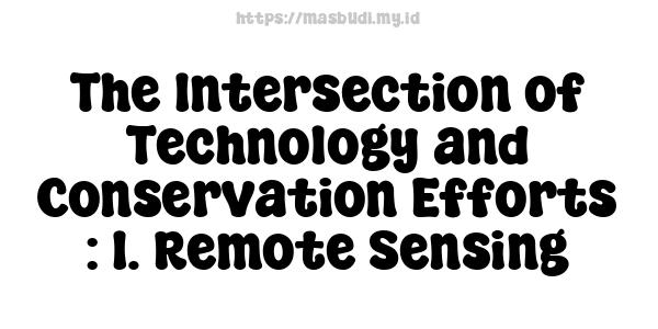 The Intersection of Technology and Conservation Efforts : 1. Remote Sensing