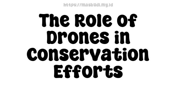 The Role of Drones in Conservation Efforts