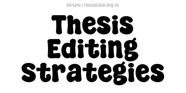 Thesis Editing Strategies