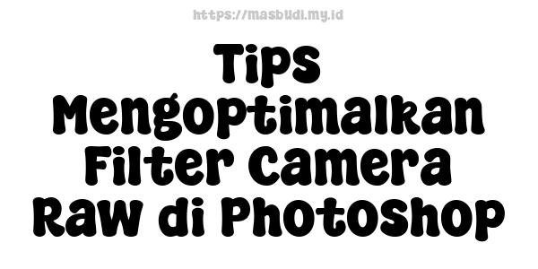 Tips Mengoptimalkan Filter Camera Raw di Photoshop