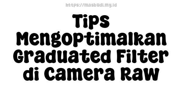 Tips Mengoptimalkan Graduated Filter di Camera Raw