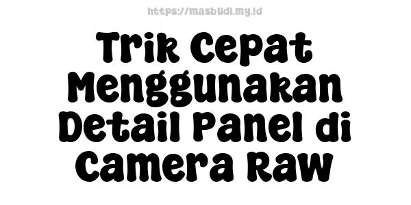 Trik Cepat Menggunakan Detail Panel di Camera Raw