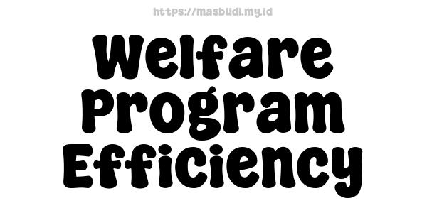 Welfare Program Efficiency