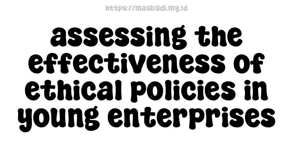 assessing the effectiveness of ethical policies in young enterprises