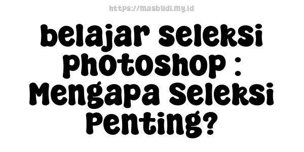 belajar seleksi photoshop : Mengapa Seleksi Penting?