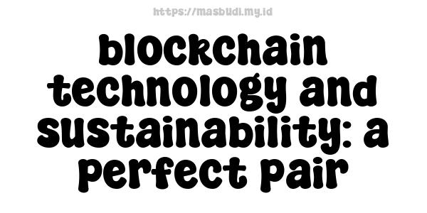 blockchain technology and sustainability: a perfect pair