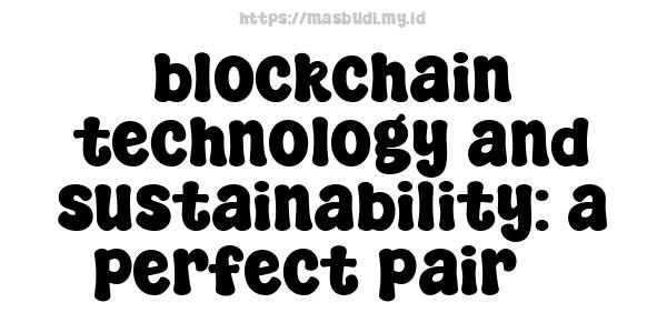 blockchain technology and sustainability: a perfect pair 3