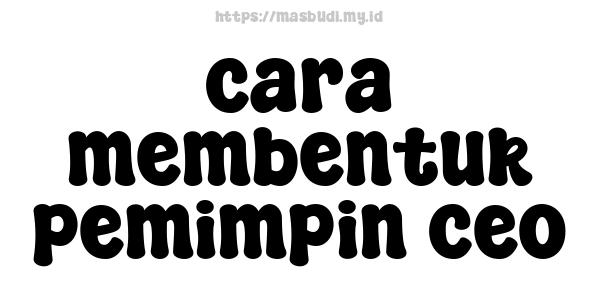 cara membentuk pemimpin ceo