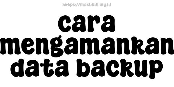 cara mengamankan data backup