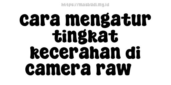 cara mengatur tingkat kecerahan di camera raw 3