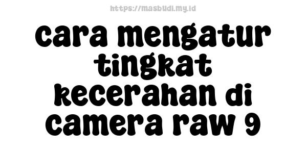 cara mengatur tingkat kecerahan di camera raw 9