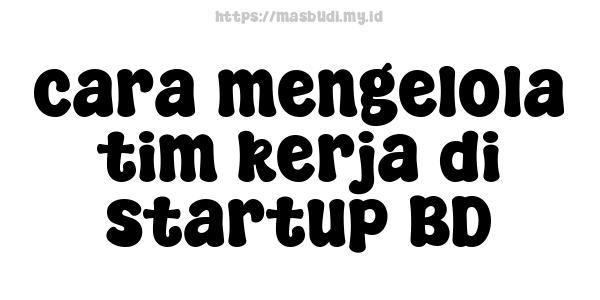 cara mengelola tim kerja di startup BD