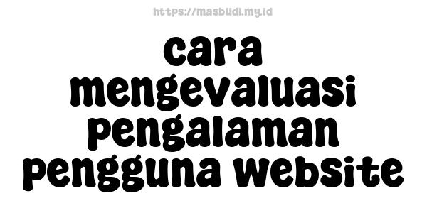 cara mengevaluasi pengalaman pengguna website