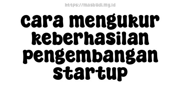 cara mengukur keberhasilan pengembangan startup