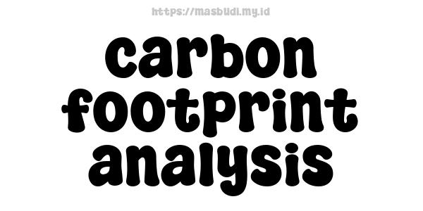 carbon footprint analysis