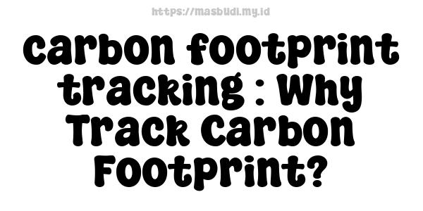 carbon footprint tracking : Why Track Carbon Footprint?