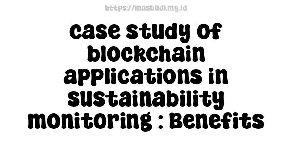 case study of blockchain applications in sustainability monitoring : Benefits