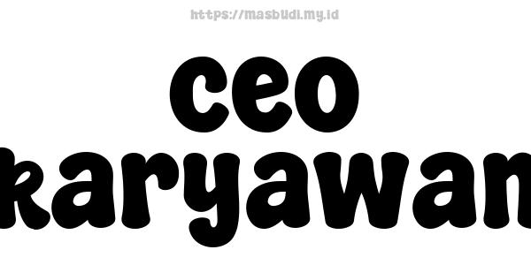 ceo karyawan