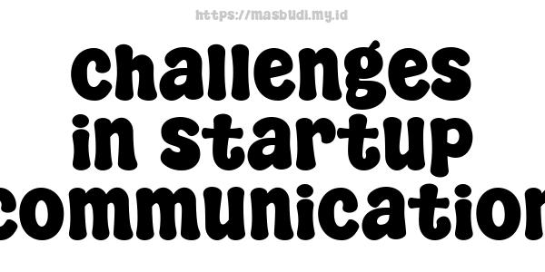 challenges in startup communication