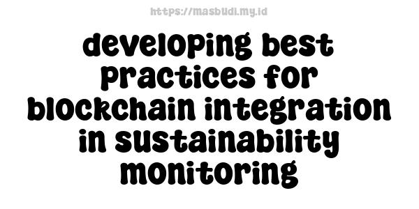 developing best practices for blockchain integration in sustainability monitoring