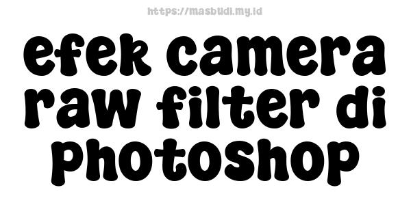 efek camera raw filter di photoshop