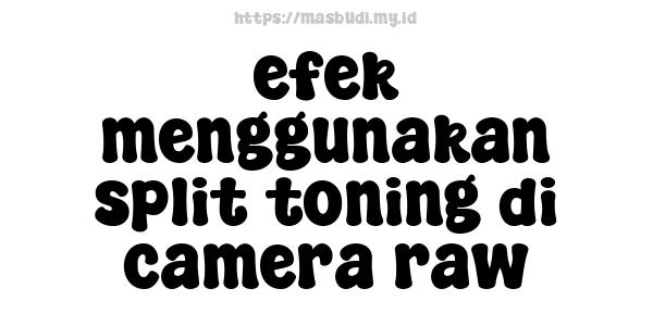 efek menggunakan split toning di camera raw