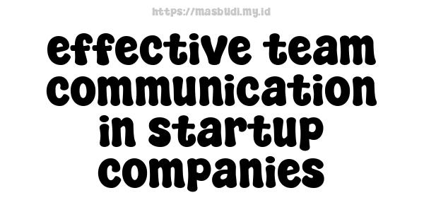 effective team communication in startup companies