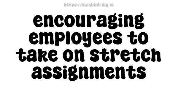 encouraging employees to take on stretch assignments