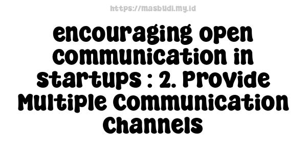 encouraging open communication in startups : 2. Provide Multiple Communication Channels