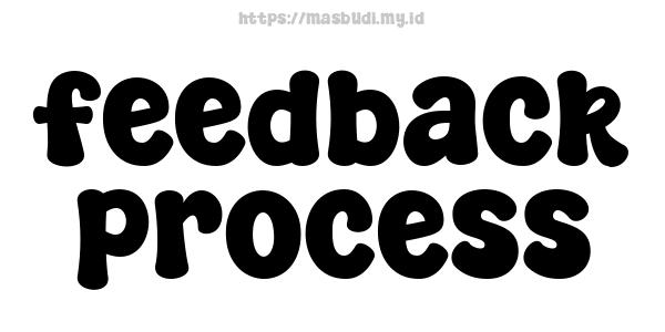 feedback-process