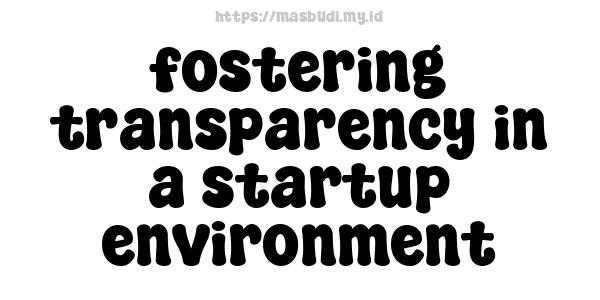 fostering transparency in a startup environment