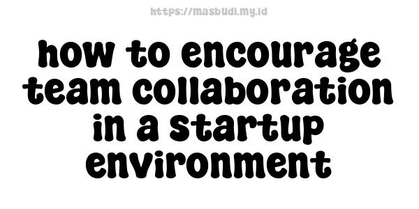 how to encourage team collaboration in a startup environment