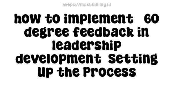 how to implement 360-degree feedback in leadership development -Setting Up the Process