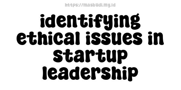 identifying ethical issues in startup leadership