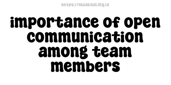 importance of open communication among team members