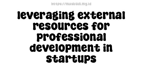 leveraging external resources for professional development in startups