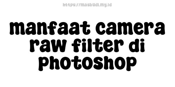 manfaat camera raw filter di photoshop