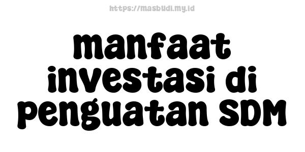 manfaat investasi di penguatan SDM