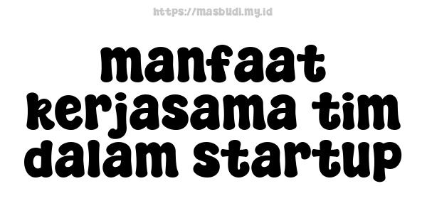 manfaat kerjasama tim dalam startup