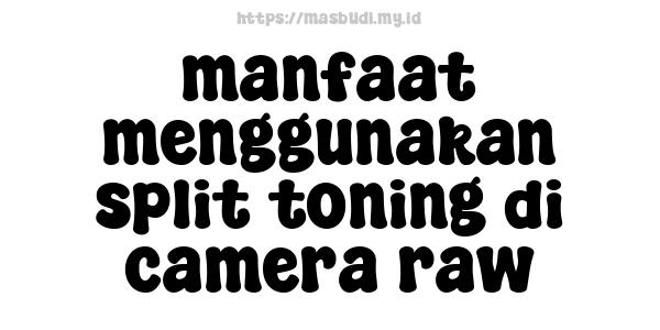 manfaat menggunakan split toning di camera raw