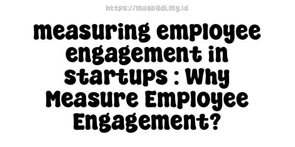 measuring employee engagement in startups : Why Measure Employee Engagement?