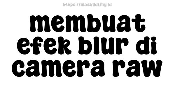 membuat-efek-blur-di-camera-raw