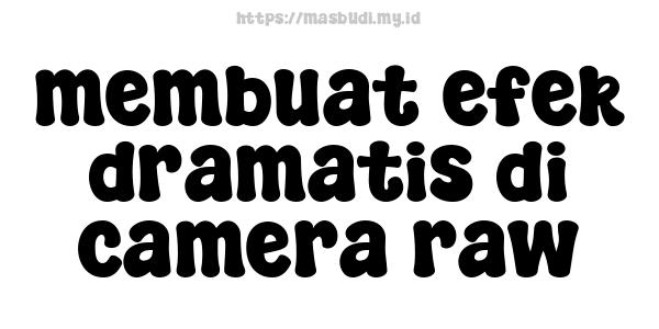 membuat-efek-dramatis-di-camera-raw