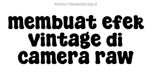 membuat-efek-vintage-di-camera-raw