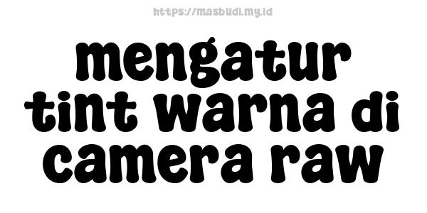 mengatur-tint-warna-di-camera-raw