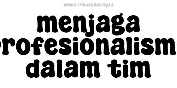 menjaga profesionalisme dalam tim