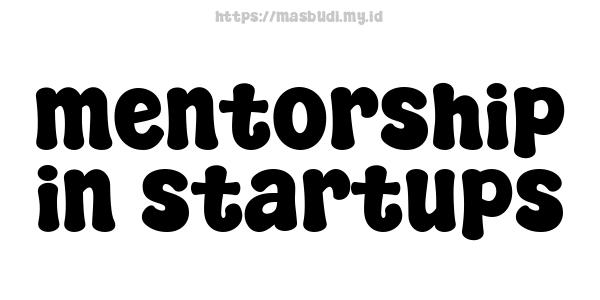 mentorship in startups