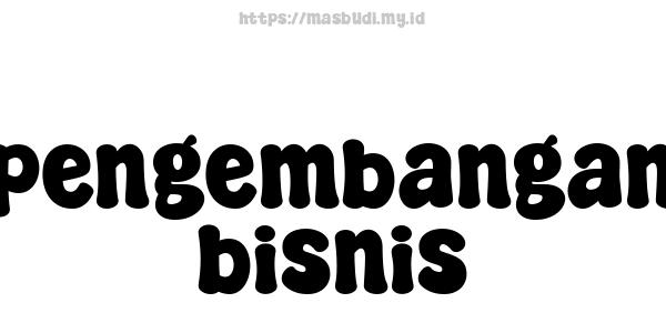 pengembangan bisnis