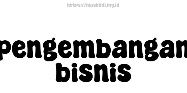 pengembangan bisnis