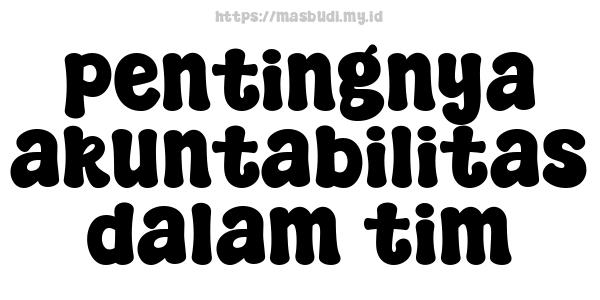 pentingnya akuntabilitas dalam tim